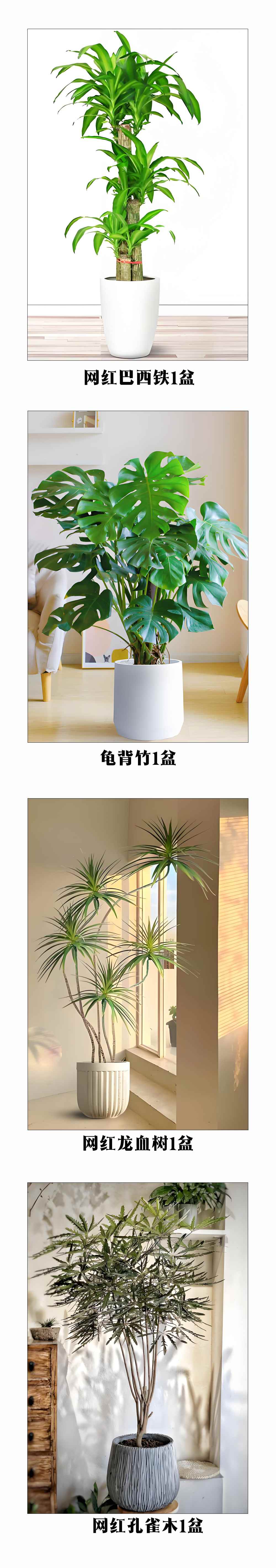 未标题-4.jpg