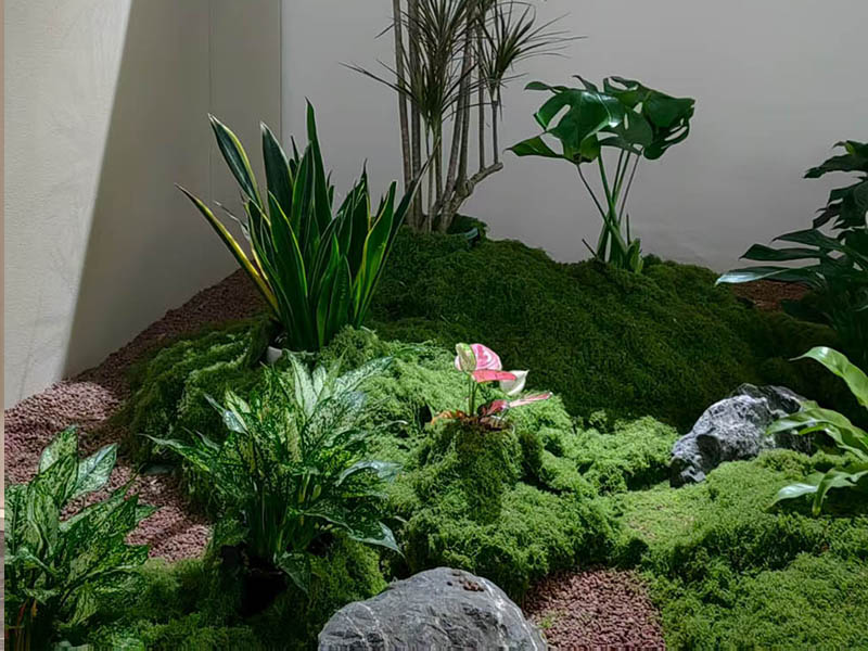 水畔绿影：省游泳中心的植物更衣记