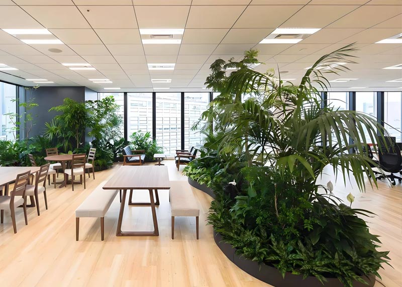 西安芬芳绿植租赁为什么值得大家信任？