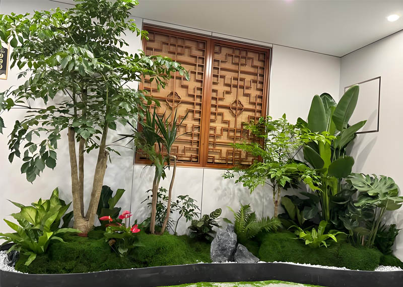 西安绿植租赁哪家好？西安芬芳绿植租赁值得信赖