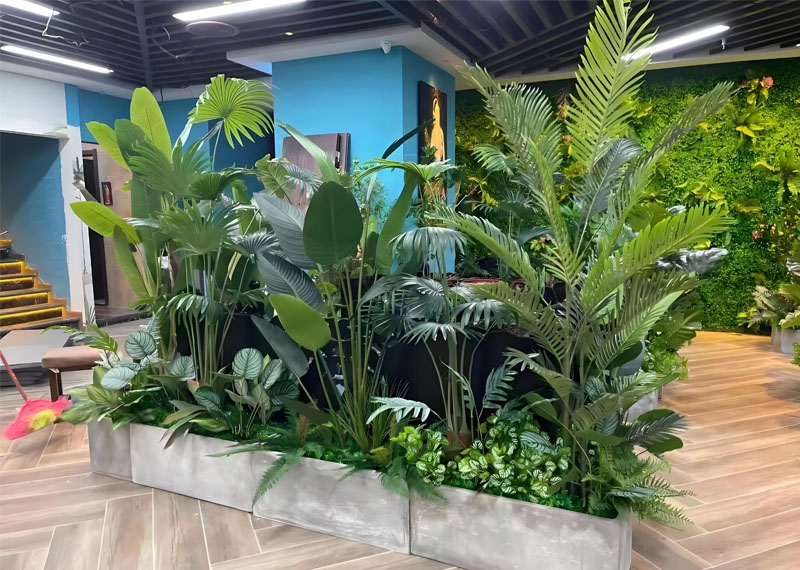 西安绿植租赁哪家最好？