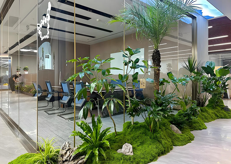 西安绿植租赁公司哪家好？