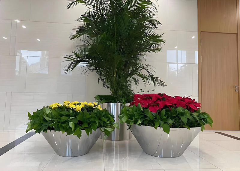 西安芬芳绿植租赁​为北郊，拭去一层薄尘