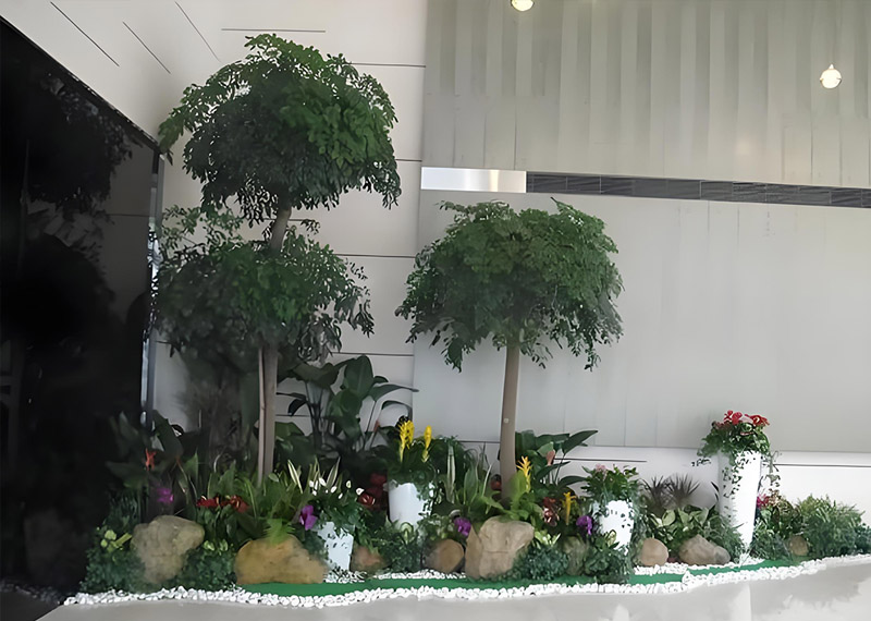 西安芬芳绿植租赁会展中心绿植租摆