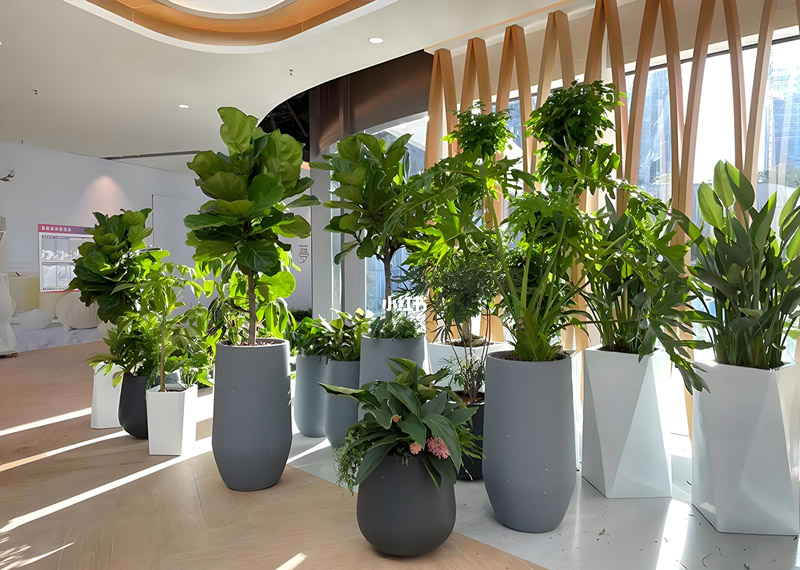 西安芬芳绿植租赁庭院设计案例展示