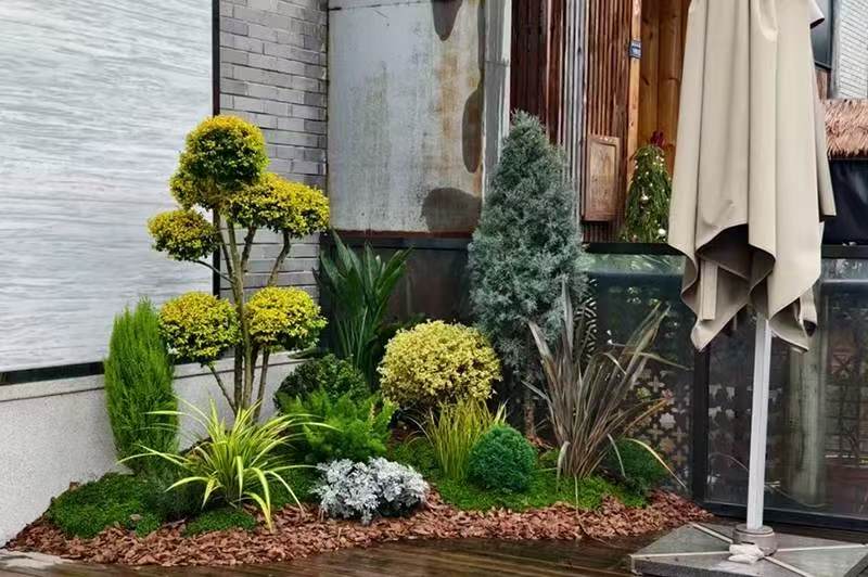 西安芬芳绿植租赁室外花卉租摆