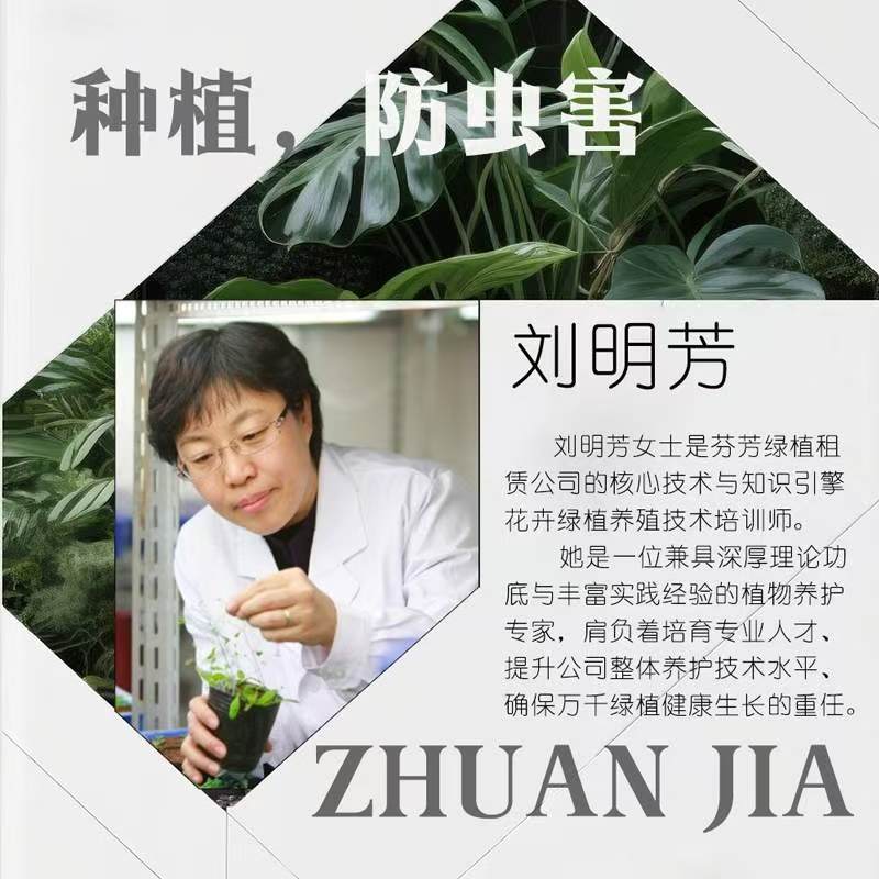 绿植花卉养植技术讲师：刘明芳