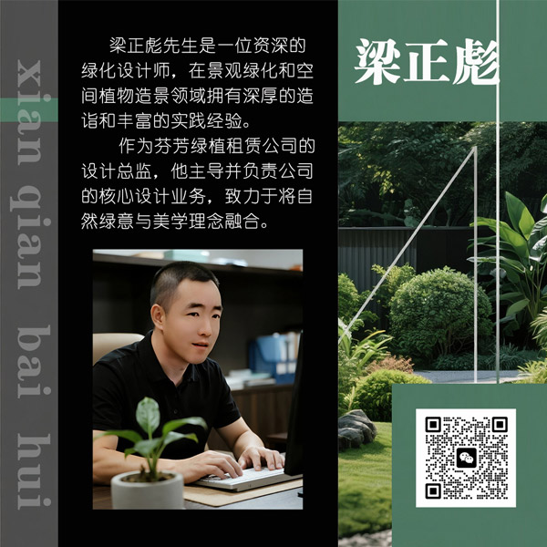 设计总监：梁正彪
