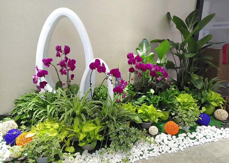 未标题-1-恢复的.jpg 未标题-1-恢复的.jpg