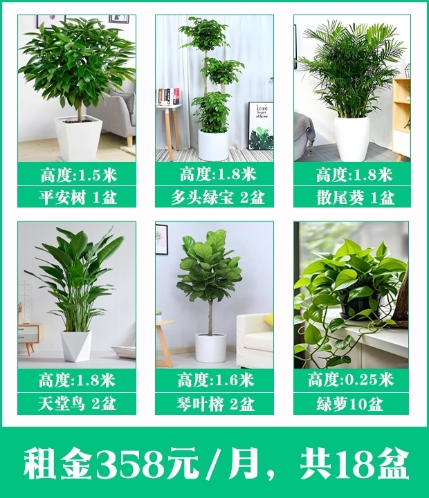 1-25121R3594G27.jpg 1-25121R3594G27.jpg