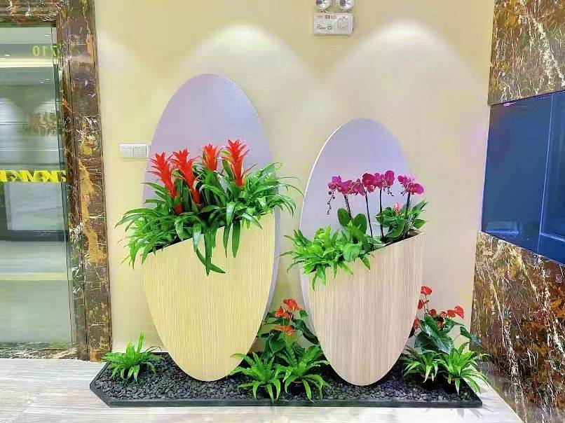 西安芬芳园艺，西安绿植租赁行业的标杆