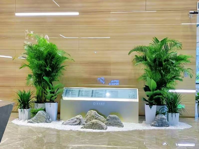 西安绿植租摆公司哪家好？