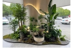 西安绿植租赁公司哪家最好？