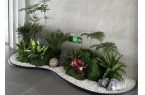 在西安芬芳绿植租赁公司怎么样？
