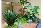 西安绿植租赁前景，靠谱的西安绿植租摆公司