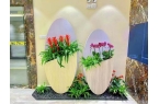 2026西安绿植租赁行业整体发展现状与全