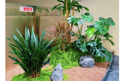 避开低价套路！西安绿植租赁靠谱挑选方法，